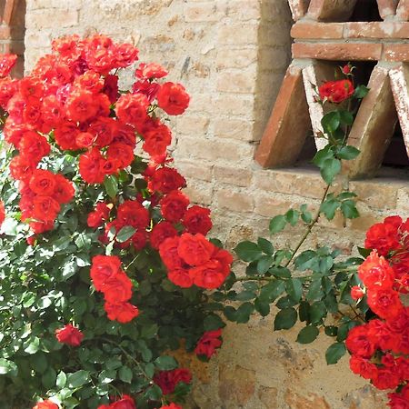 Fattoria Agriturismo Nerbona Villa Casole d'Elsa Bagian luar foto