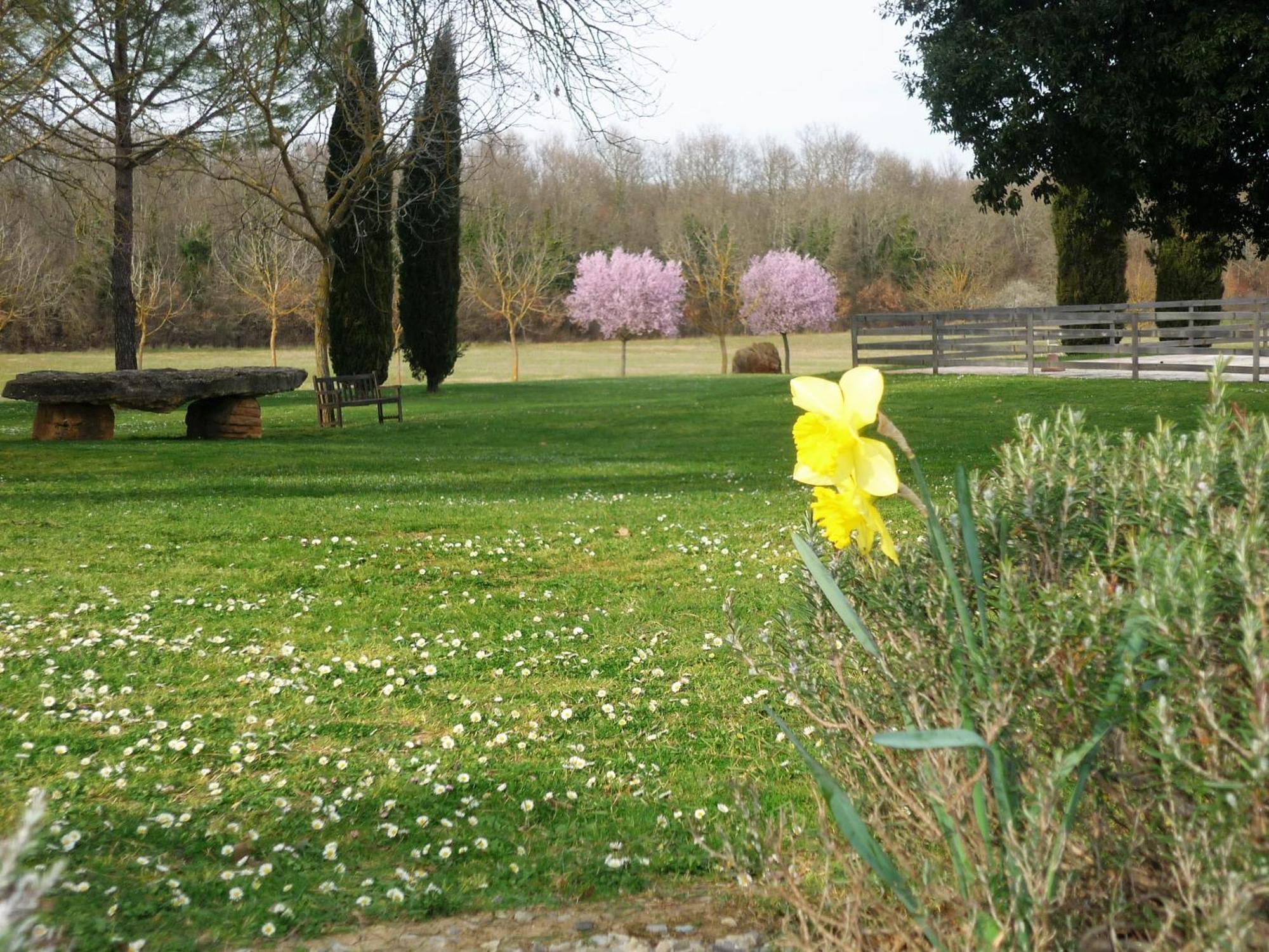 Fattoria Agriturismo Nerbona Villa Casole d'Elsa Bagian luar foto