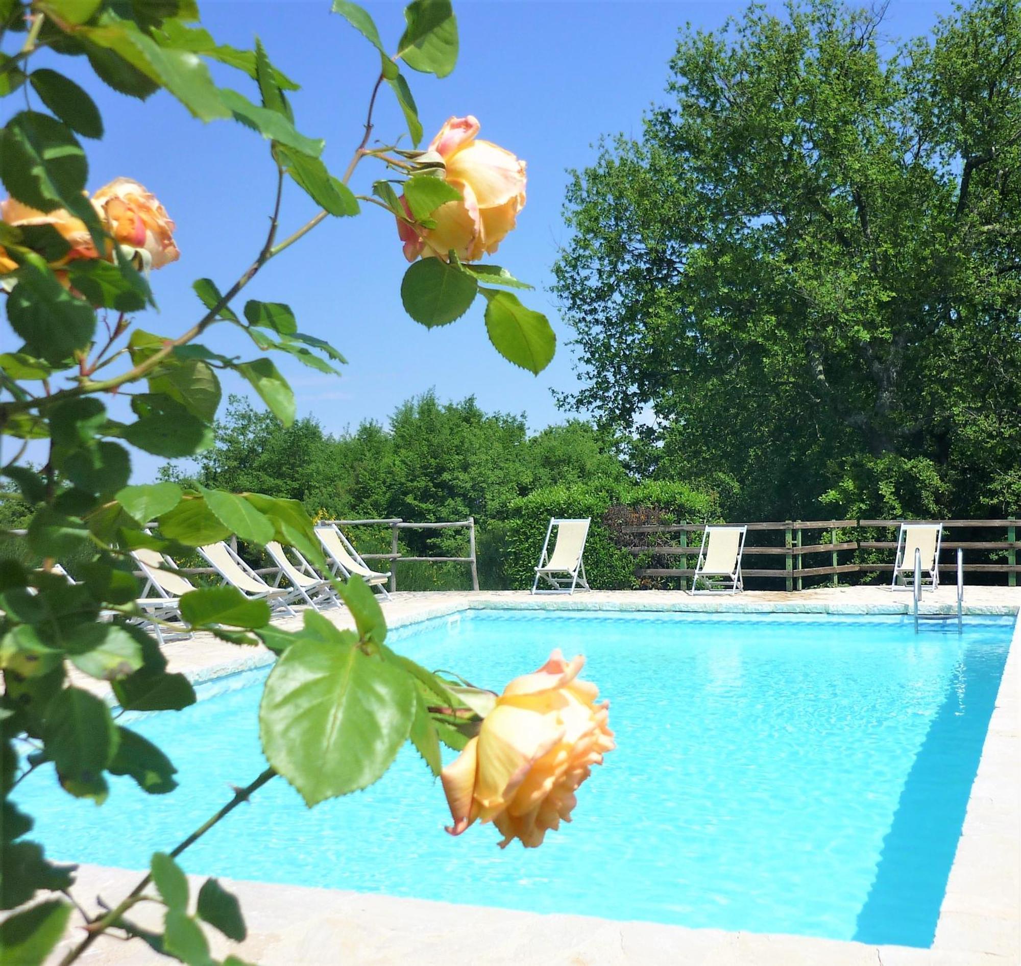 Fattoria Agriturismo Nerbona Villa Casole d'Elsa Bagian luar foto