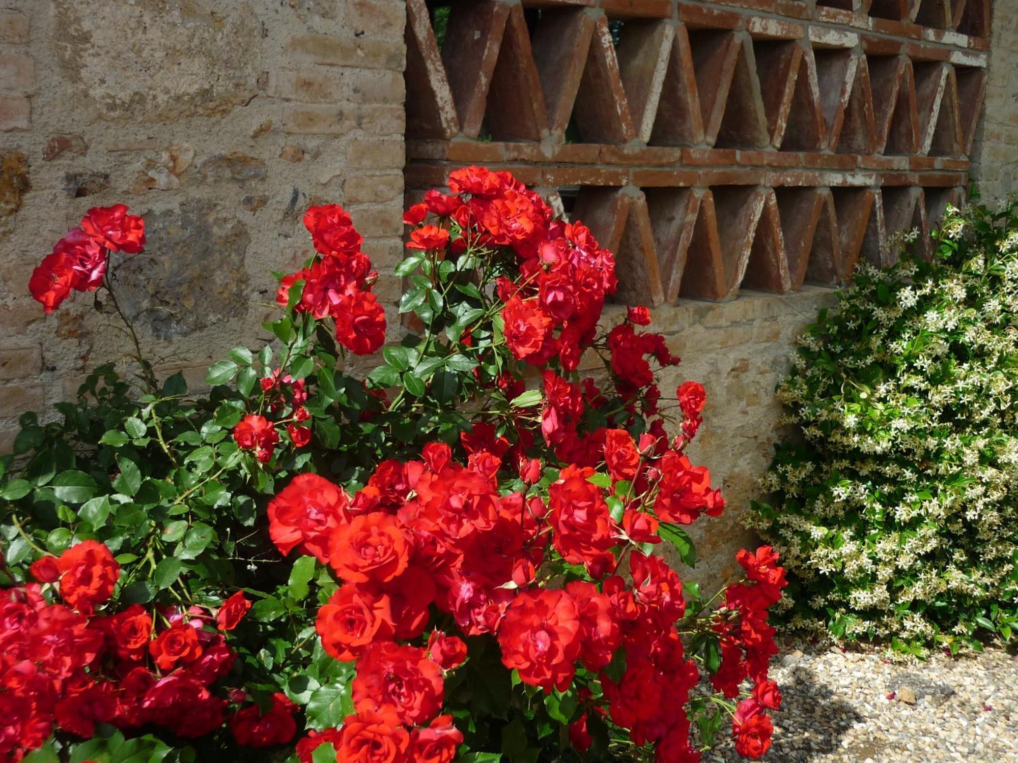 Fattoria Agriturismo Nerbona Villa Casole d'Elsa Bagian luar foto