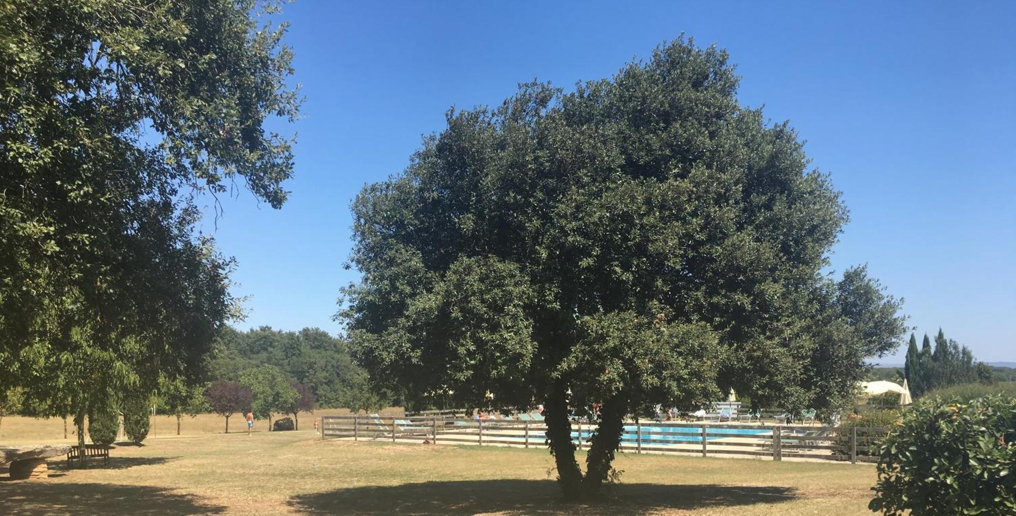 Fattoria Agriturismo Nerbona Villa Casole d'Elsa Bagian luar foto