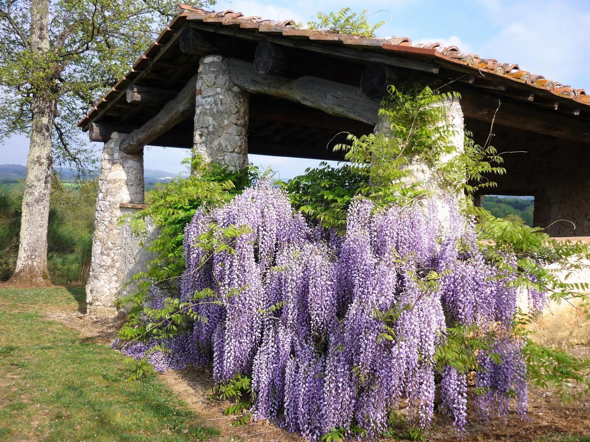 Fattoria Agriturismo Nerbona Villa Casole d'Elsa Bagian luar foto