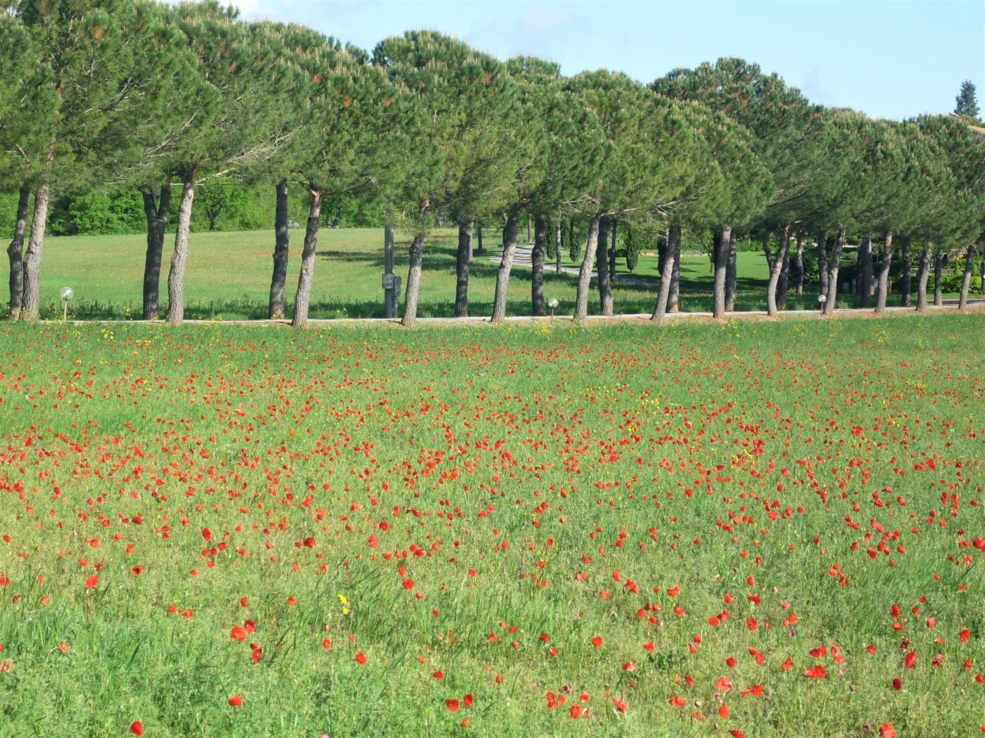 Fattoria Agriturismo Nerbona Villa Casole d'Elsa Bagian luar foto