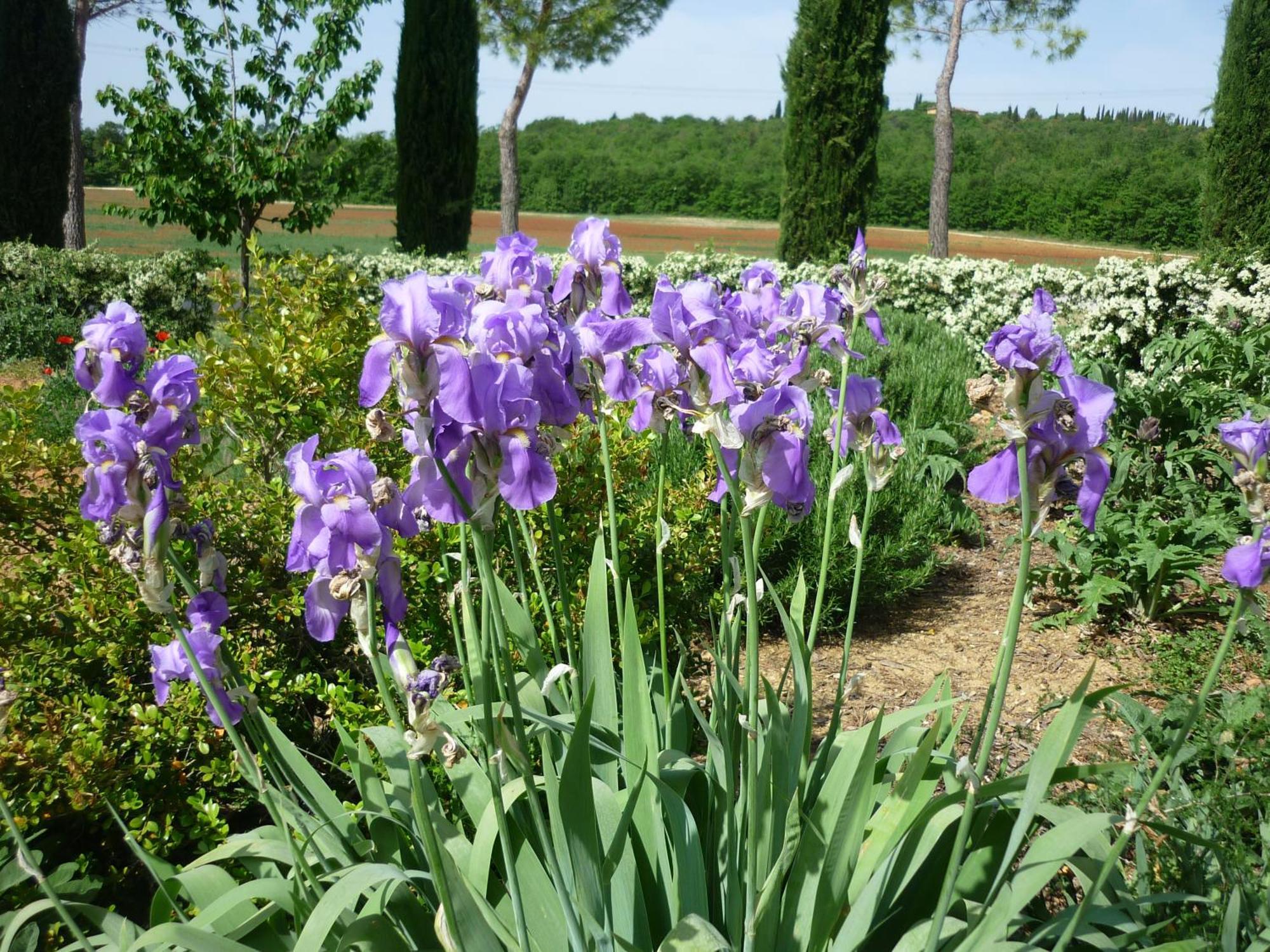 Fattoria Agriturismo Nerbona Villa Casole d'Elsa Bagian luar foto