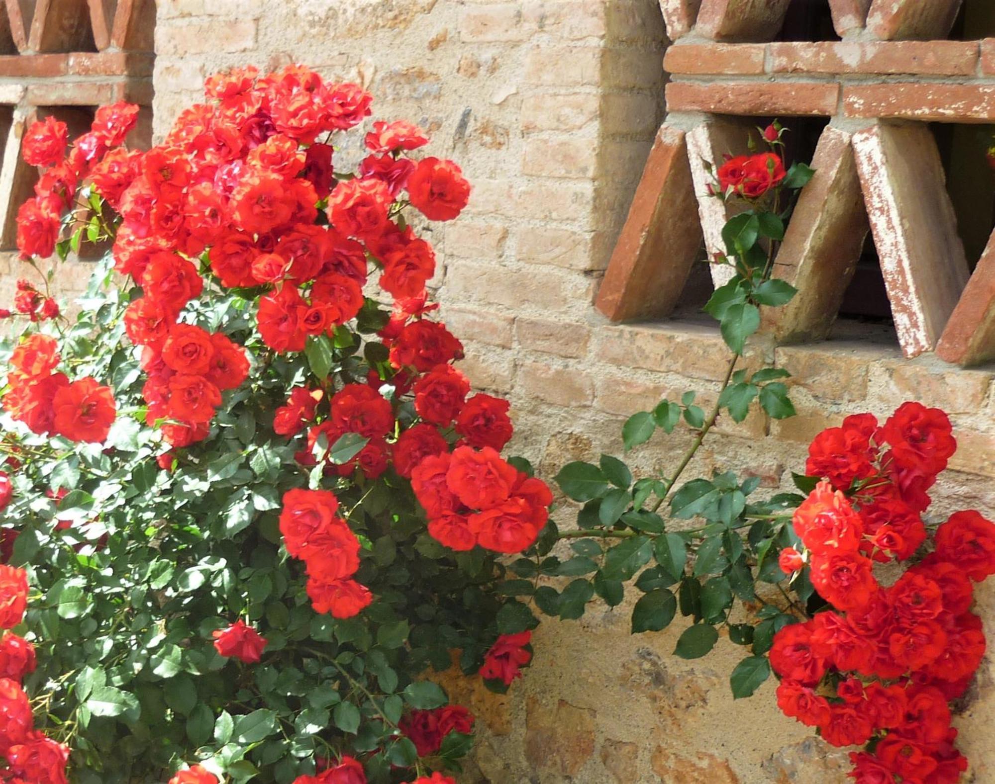 Fattoria Agriturismo Nerbona Villa Casole d'Elsa Bagian luar foto