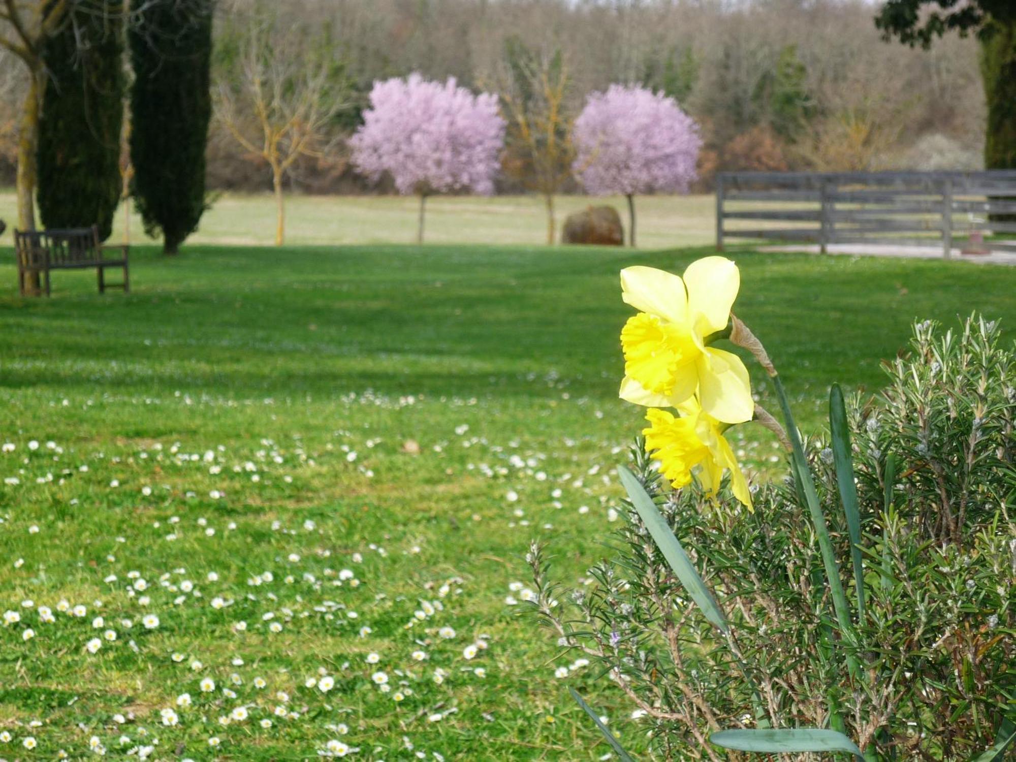 Fattoria Agriturismo Nerbona Villa Casole d'Elsa Bagian luar foto